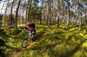 Mountain Biking in the Cairngorms National Park from your base at The Cairn Hotel Carrbridge